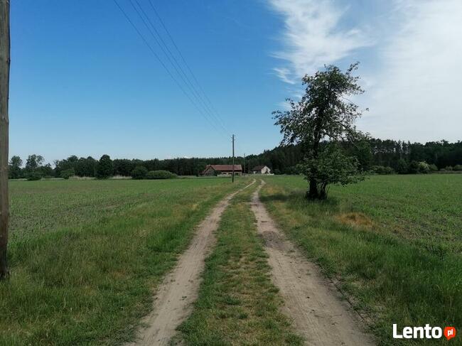 Atrakcyjny grunt inwestycyjny pod Nowym Tomyślem