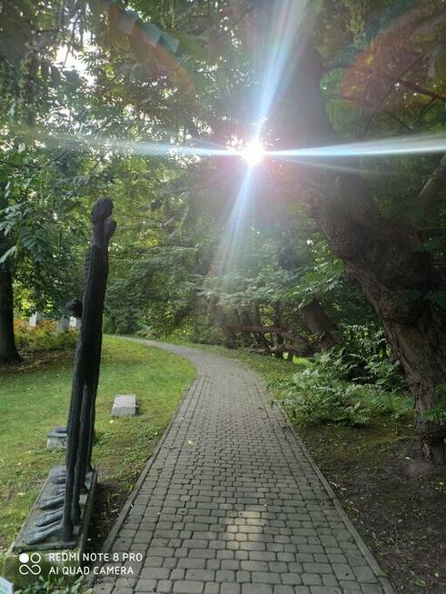 Zachowaj w pamięci cudowne chwile, lecz nie bój się nowych!