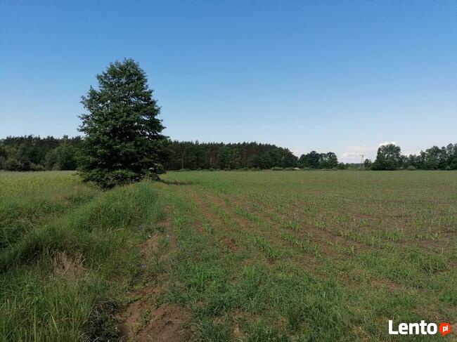 Atrakcyjny grunt inwestycyjny pod Nowym Tomyślem