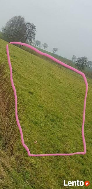 Ziemia rolna łąka 0.45 h Ostroròg powiat Szamotuły Ziemia