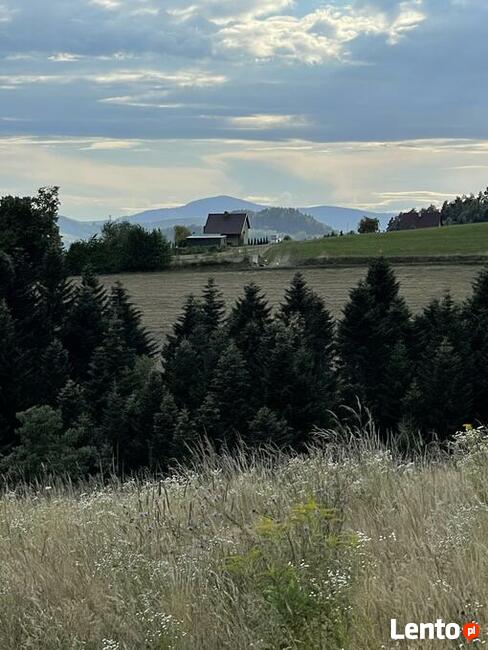 Sprzedam działkę w Bartkowej Posadowe gm.Gródek n/Dunajcem