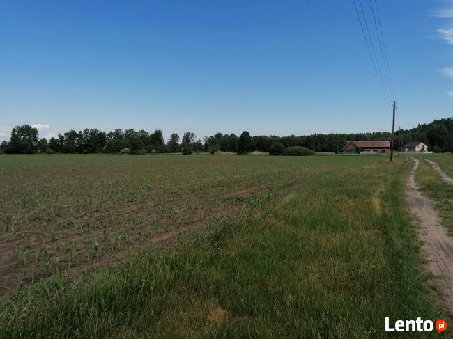 Atrakcyjny grunt inwestycyjny pod Nowym Tomyślem