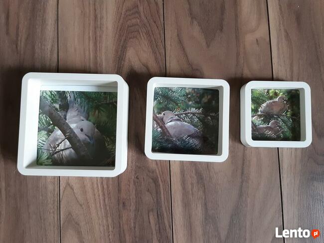 Obrazki ozdobne 3 sztuki