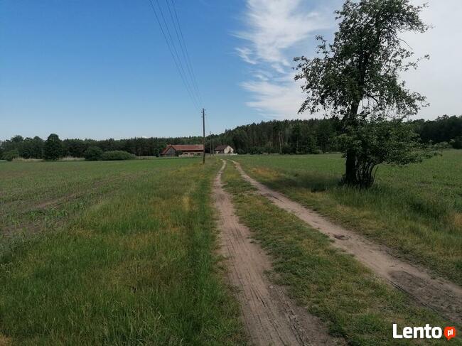 Atrakcyjny grunt inwestycyjny pod Nowym Tomyślem