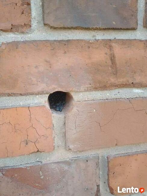 Izolacje dachów, stropów, poprawki dociepleń - 4U izolacje