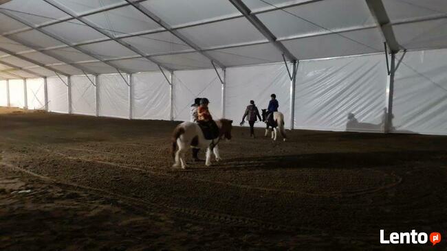 Hala namiotowa aluminiowa 15x30m, magazyn, ujeżdżalnia