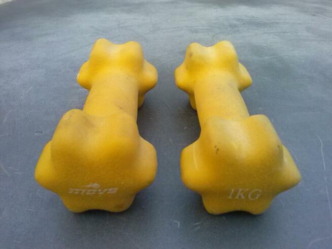 Dwa ciężarki do podnoszenia 1 kg., 2 X 15 zł.