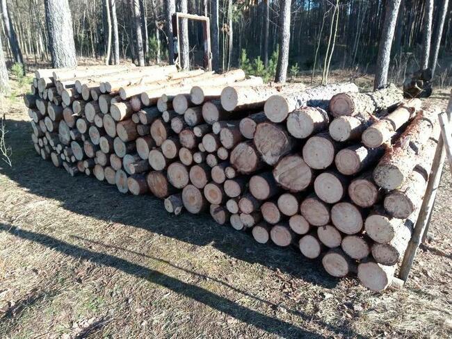 Drewno opałowe, kominkowe, sosna, opał, papierówka 220 zł/mp