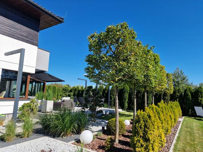 Wynajmę ogród i taras do sesji zdjęciowych, reklam