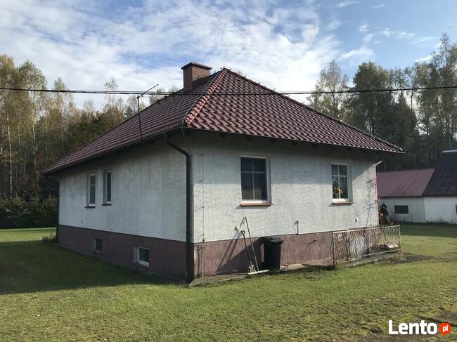 Syndyk sprzeda udział 1/2 w nieruchomości Krzywogoniec 1