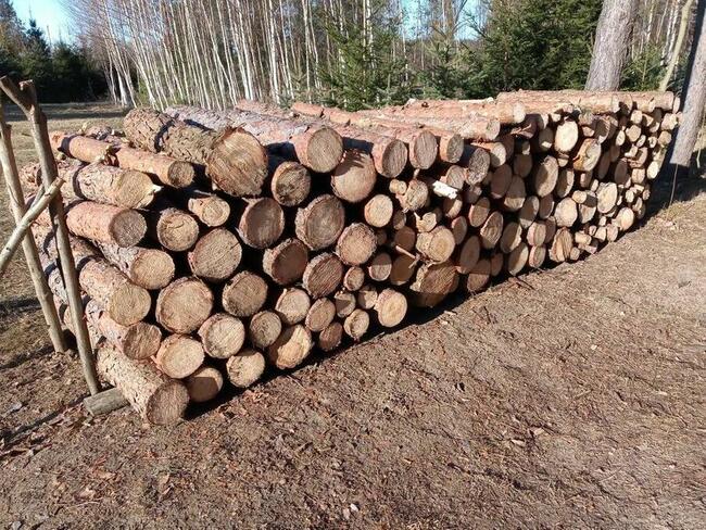 Drewno opałowe, kominkowe, sosna, opał, papierówka 220 zł/mp