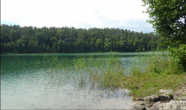 Działka budowlana Nowa Wieś gm. Purda,