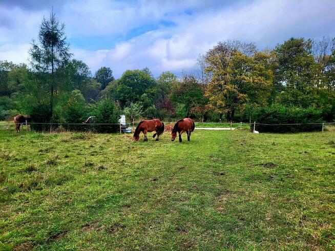 Sprzedam dom Świątkowa Wielka