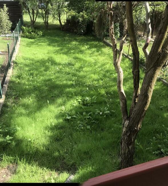 Wynajmę dom w Oleśnicy