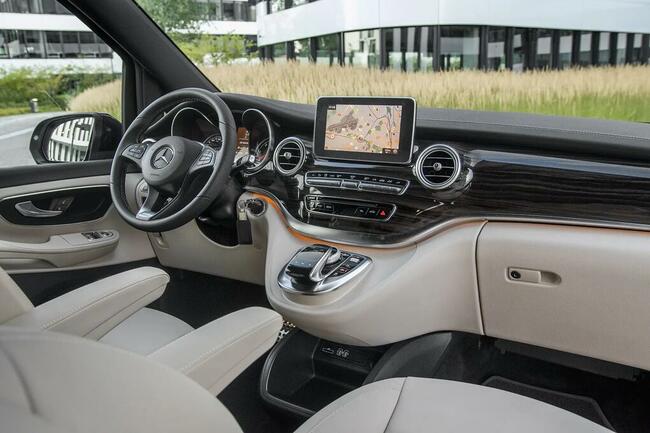 PRZEWOZNIK POLSKA FRANCJA HISZPANIA WŁOCHY KORSYKA HOLANDIA