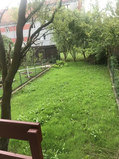 Wynajmę dom w Oleśnicy