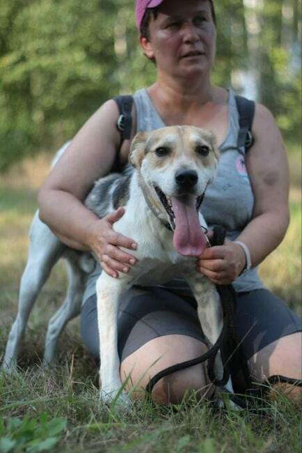 Młody energiczny psiak Zazu