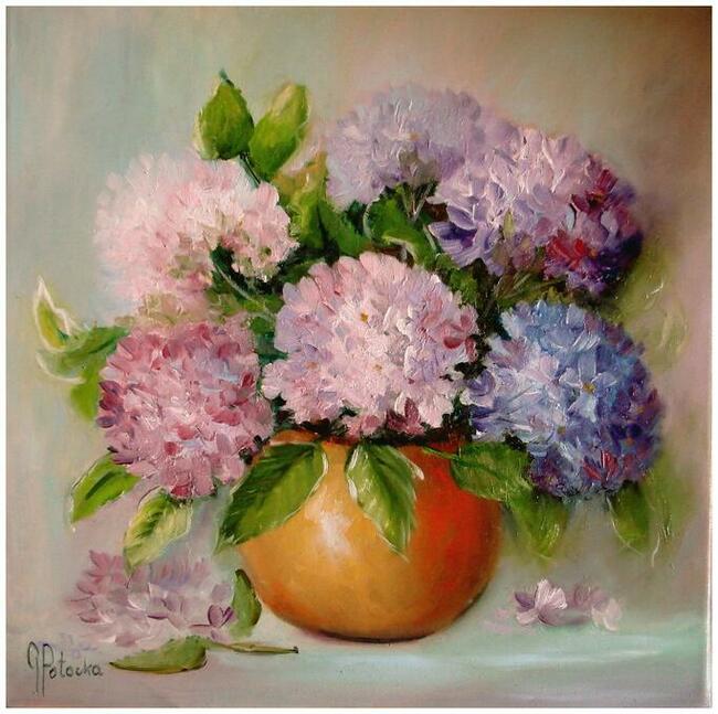 Hortensje obraz olejny 40-40cm