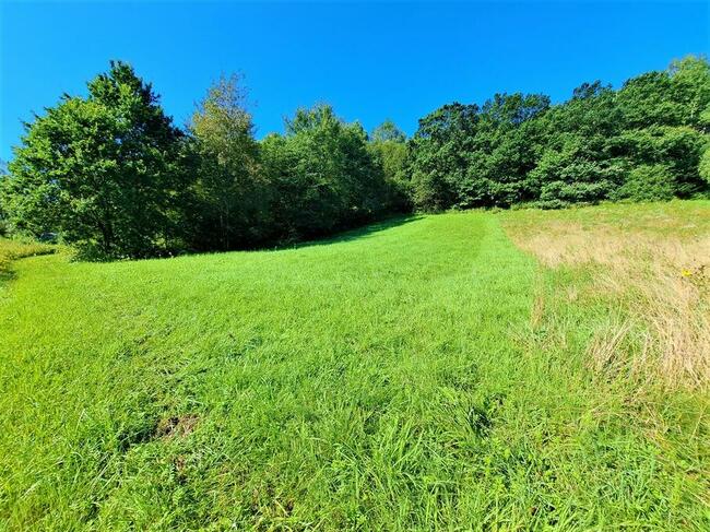 Działka widokowa 16,54 ar w Łukawicy, gmina Lesko