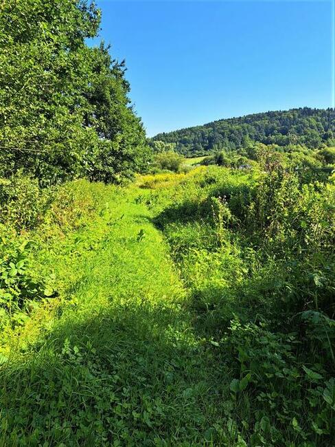 Działka widokowa 16,54 ar w Łukawicy, gmina Lesko