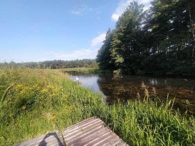 Działka letniskowa Majdan Sopocki Pierwszy