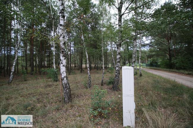 Działka budowlana Zielonka gm. Białe Błota