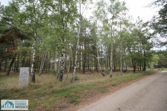 Działka budowlana Zielonka gm. Białe Błota