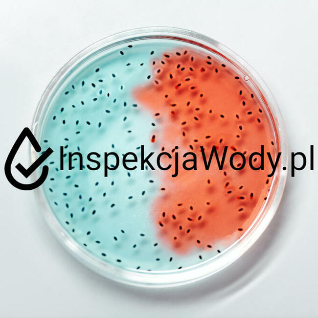 BADANIE WODY - LEGIONELLA - Warszawa/Mazowsze