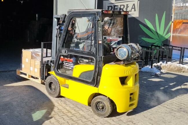 wynajem gazowego wózka widłowego