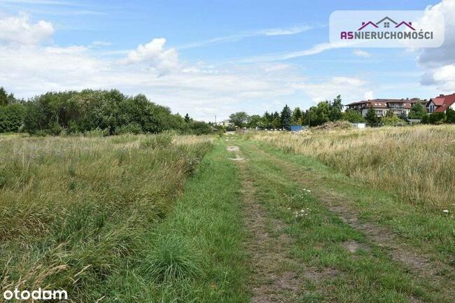 Działka w Nowych Bielicach