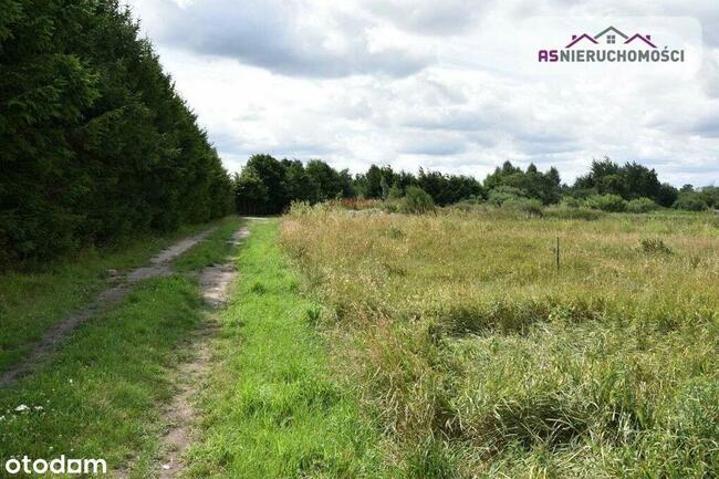 Działka w Nowych Bielicach