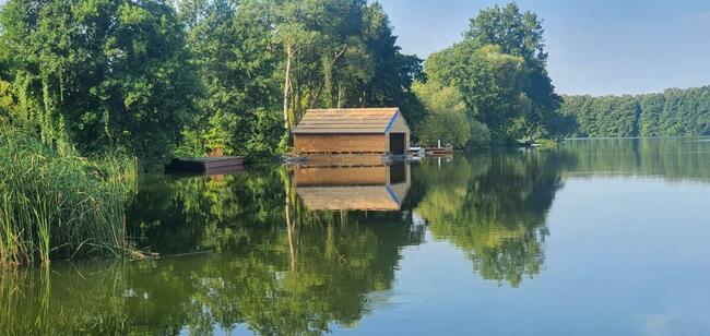 Płyta trzcinowa Płyty trzcinowe daszek altanka drewutnia huś