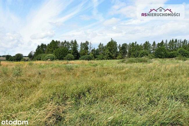 Działka w Nowych Bielicach