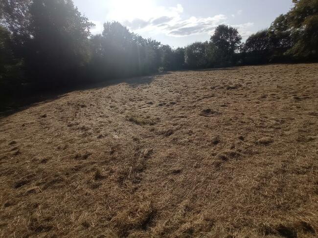 Sprzedam działkę w m. Lipówka