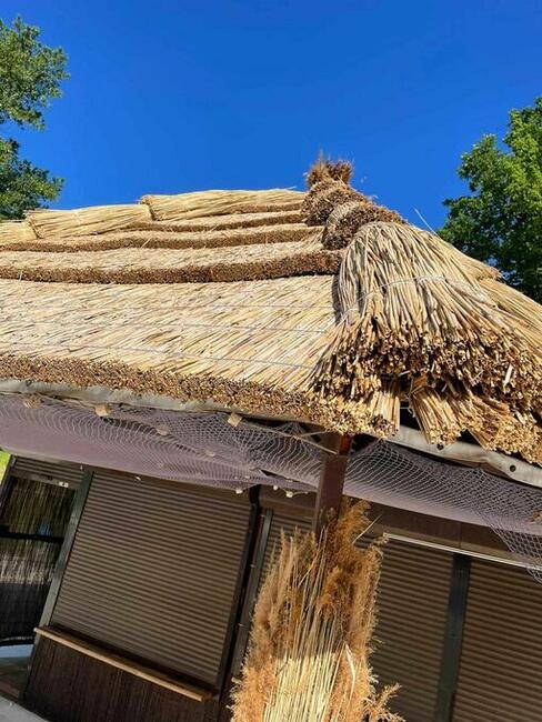 Płyta trzcinowa Płyty trzcinowe daszek altanka drewutnia huś