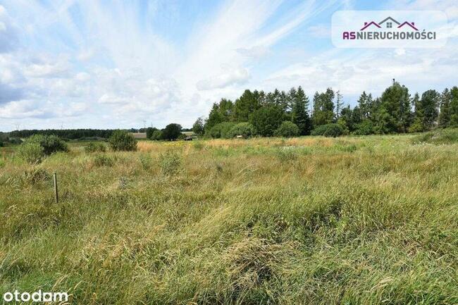 Działka w Nowych Bielicach