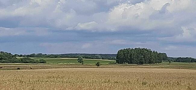 Działka Zdory , Jezioro Śniardwy szlak wielkich jezior