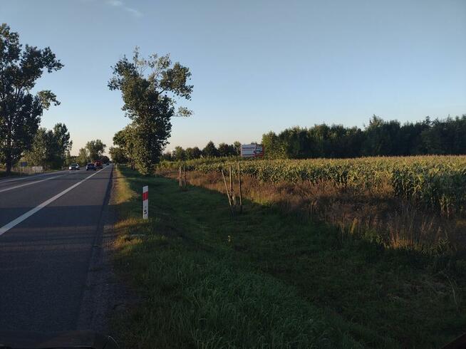 Reklama - obwodnica Łowicza - WYNAJMĘ