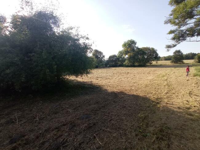 Sprzedam działkę w m. Lipówka