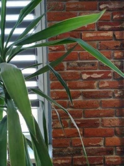 Lica starej cegły postarzane/młotkowane