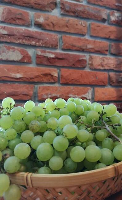 Lica starej cegły postarzane/młotkowane