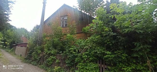 Czyszczenie działek, karczowanie, wyrywanie korzeni.