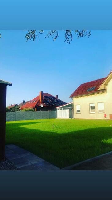 Usługi glebogryzarką separacyjną