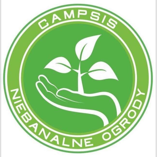 Usługi glebogryzarką separacyjną