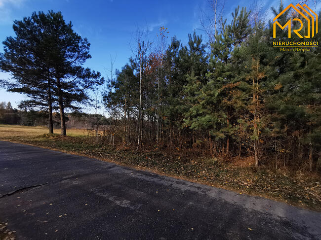 Działka siedliskowa Pogórska Wola