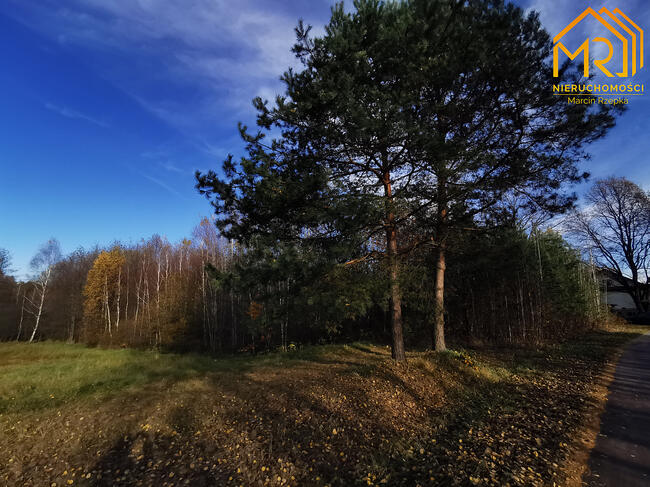 Działka siedliskowa Pogórska Wola