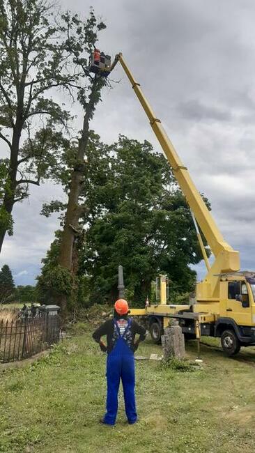 Wycinka, pielęgnacja drzew, zwyżka - podnośnik