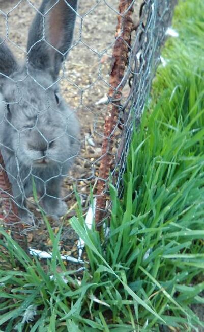 Wycieczki szkolne i przedszkolne warsztaty edukacyjne