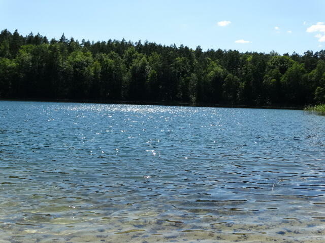Sprzedam działkę na wsi kaszubskiej w okolicy lasów i jezior