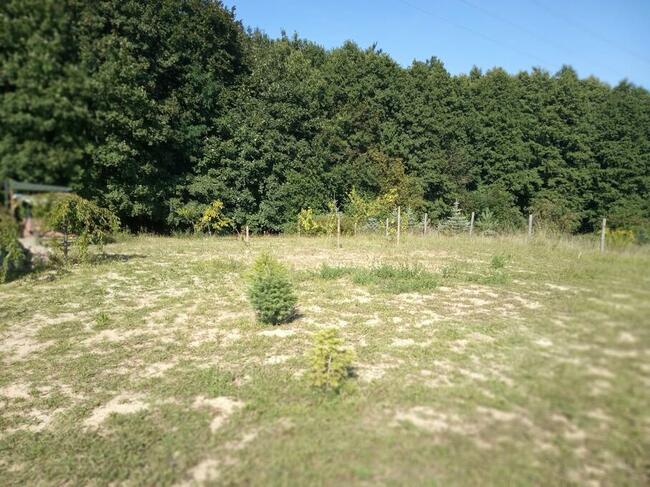 prusim, budowlana 1492 m2